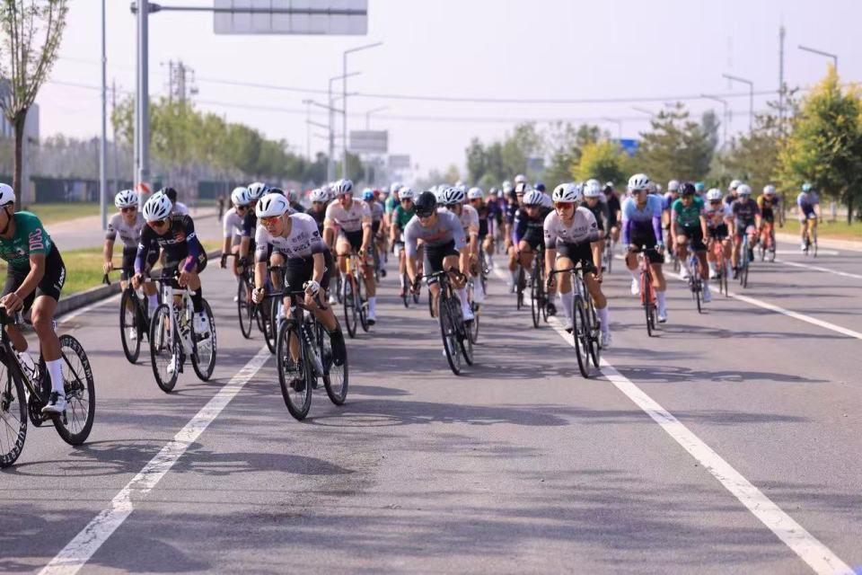 北京市大兴, 镇作为, QST