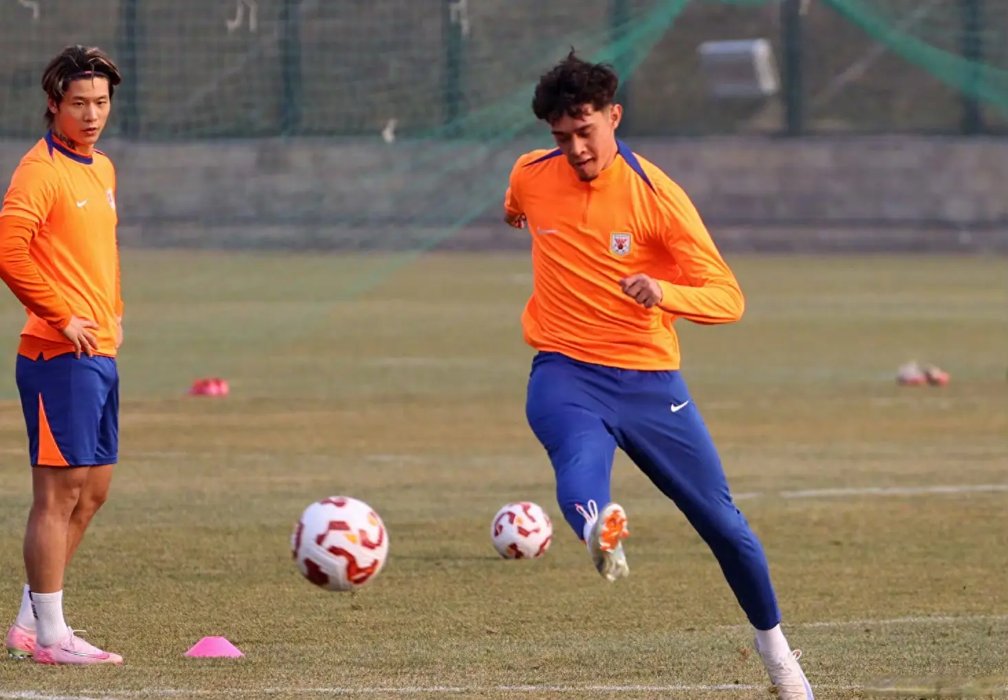 利好, 牛队有多名, 布会 利好, 牛队有多名, 布会